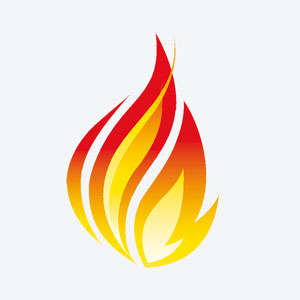 Fast Healthcare Interoperability Resources (FHIR)