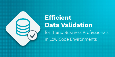 Efficient Data Validation for IT and Business Professionals in Low-Code Environments